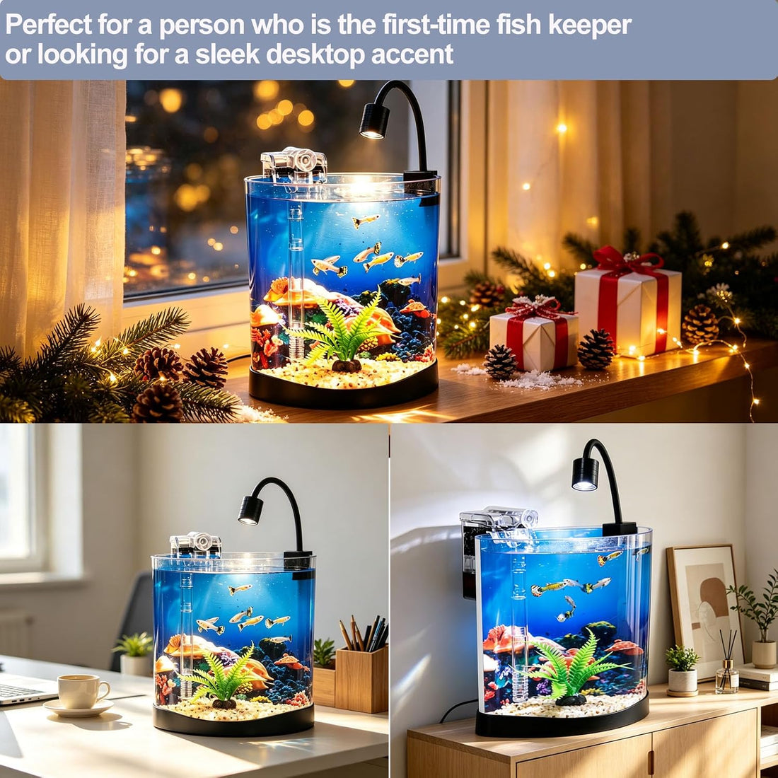Desktop Fish Tank Kit, 3-in-1 Aquarium Starter with Filter & LED Light