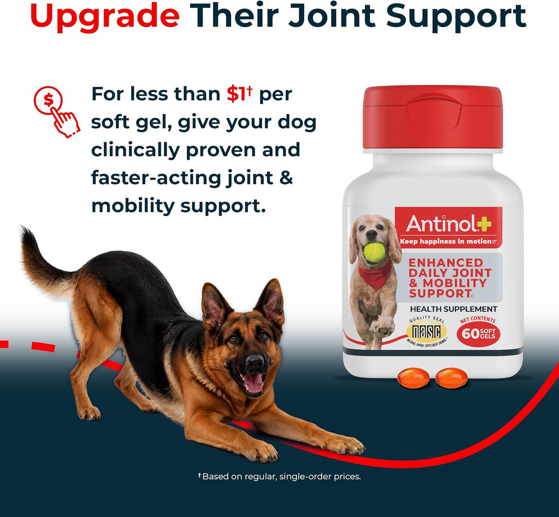 Antinol Plus Mobility Hip & Joint Supplement for Dogs, 120 Soft Gels