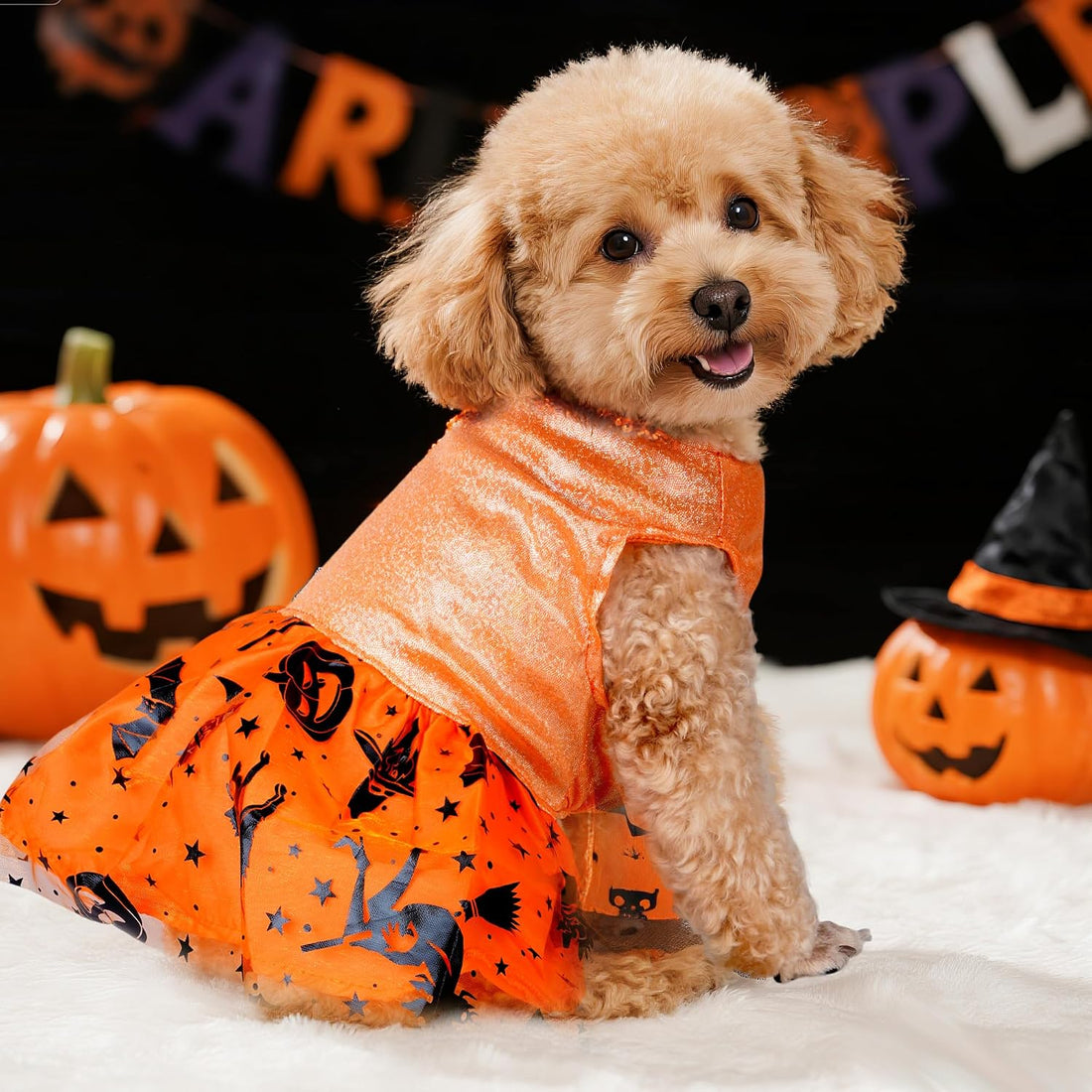 Dog Halloween Costume Dog Dress Witch Tulle Skirt Halloween Pet