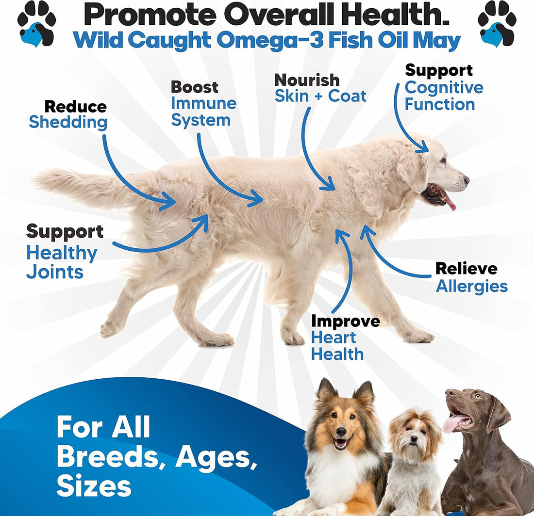 Omega 3 Fish Oil for Dogs - Better Than Salmon Oil
