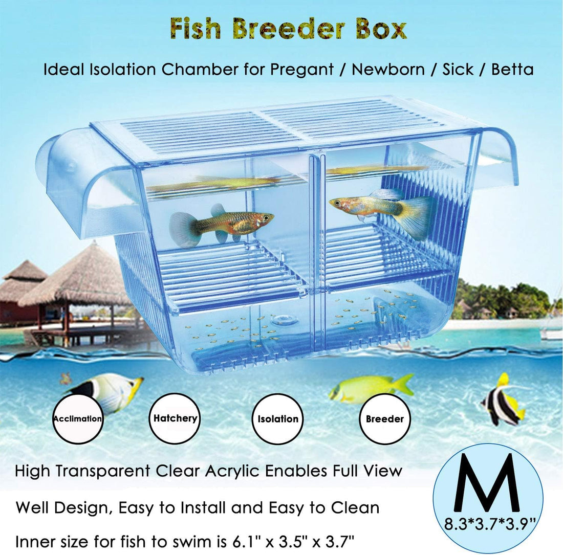 capetsma Fish Breeding Box, Acrylic Fish Isolation Box with Suction