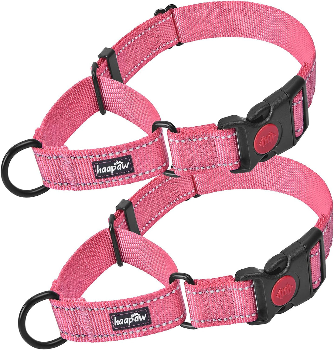 Haapaw Escape-Proof Martingale Dog Collar