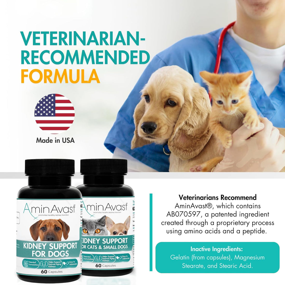 AminAvast 1000 mg Kidney Support for Dogs, 3 Bottles