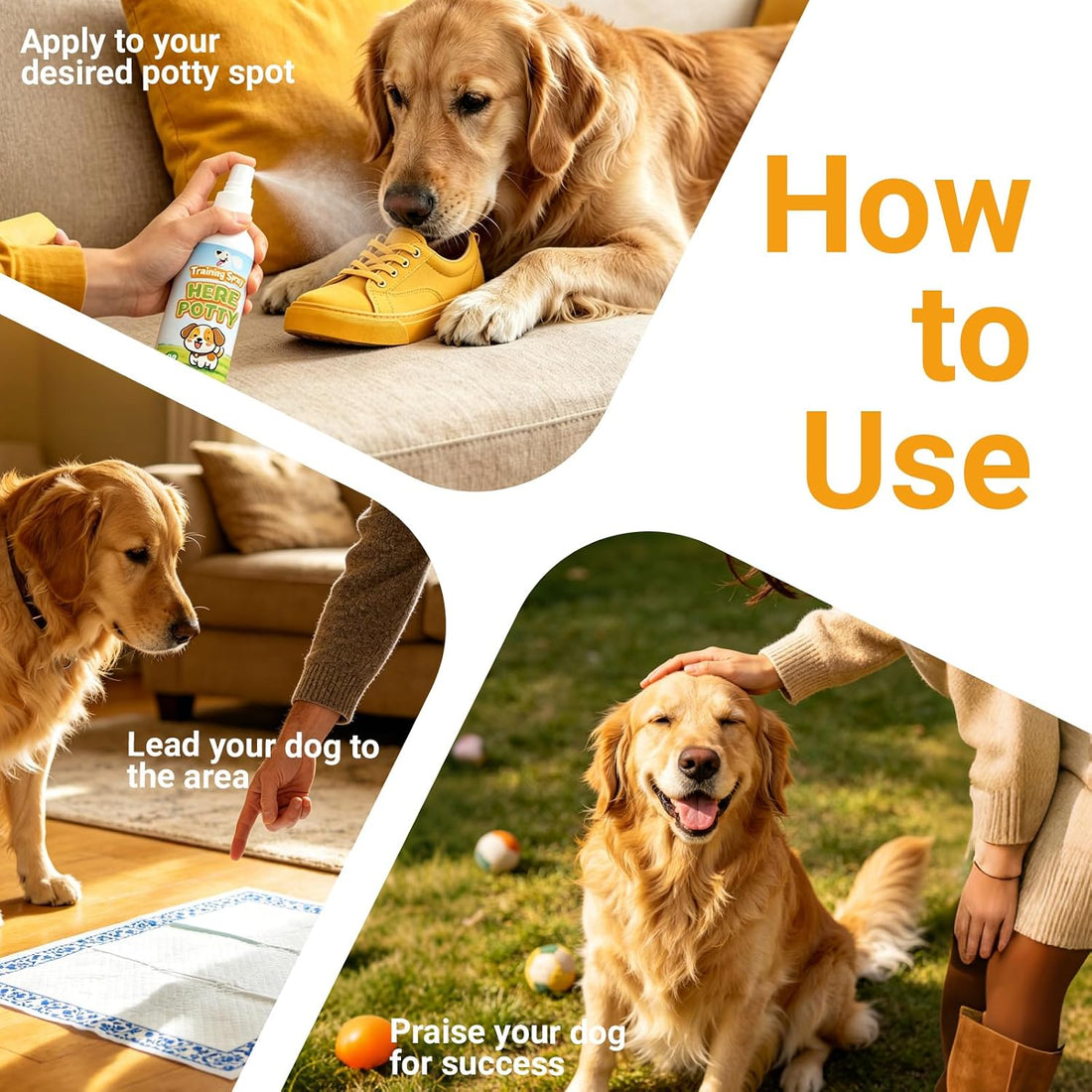 Norce Sactor Potty Training Spray for Dogs