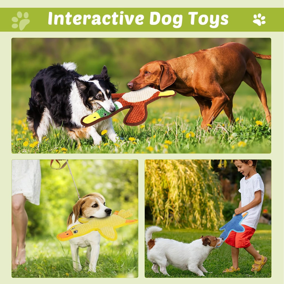 Dog Toys 3-Pack Cute Duck Shapes Puppy Toys No-Stuffing Squeaky