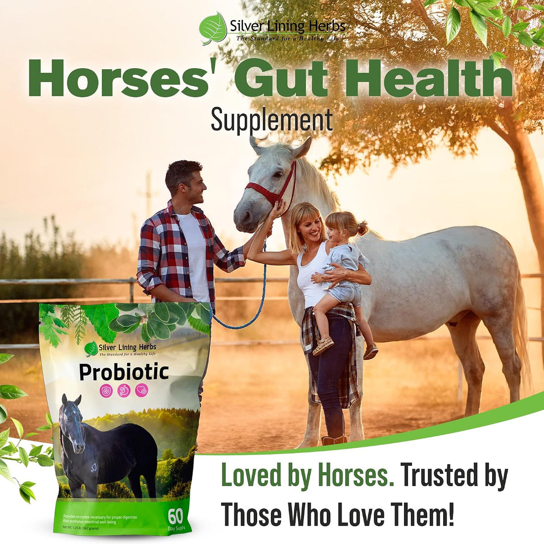 Silver Lining Herbs Horse Probiotics Digestive Supplement - 1.25 lb