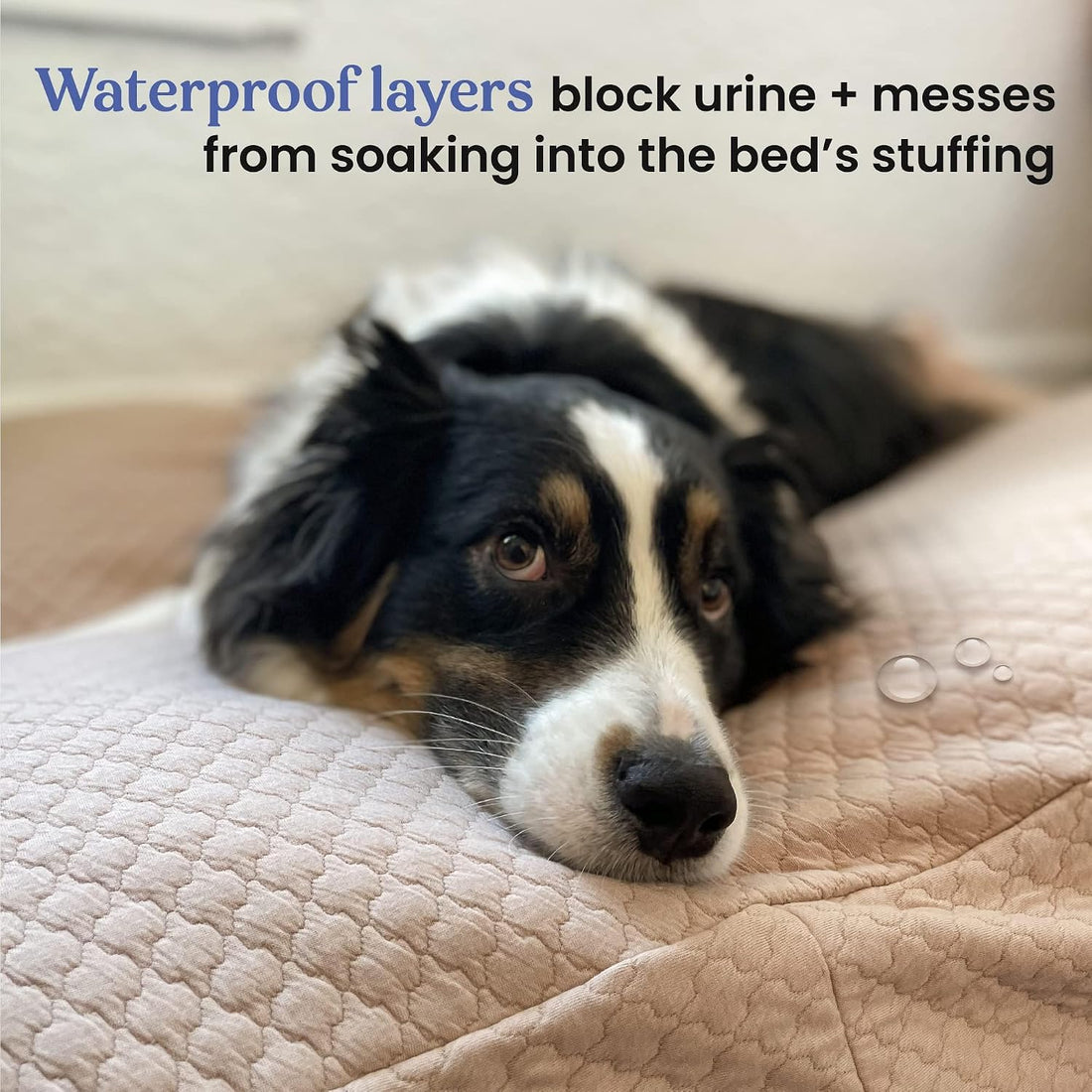 4Knines Quilted Dog Bed Cover, Waterproof Heavy‑Duty Washable