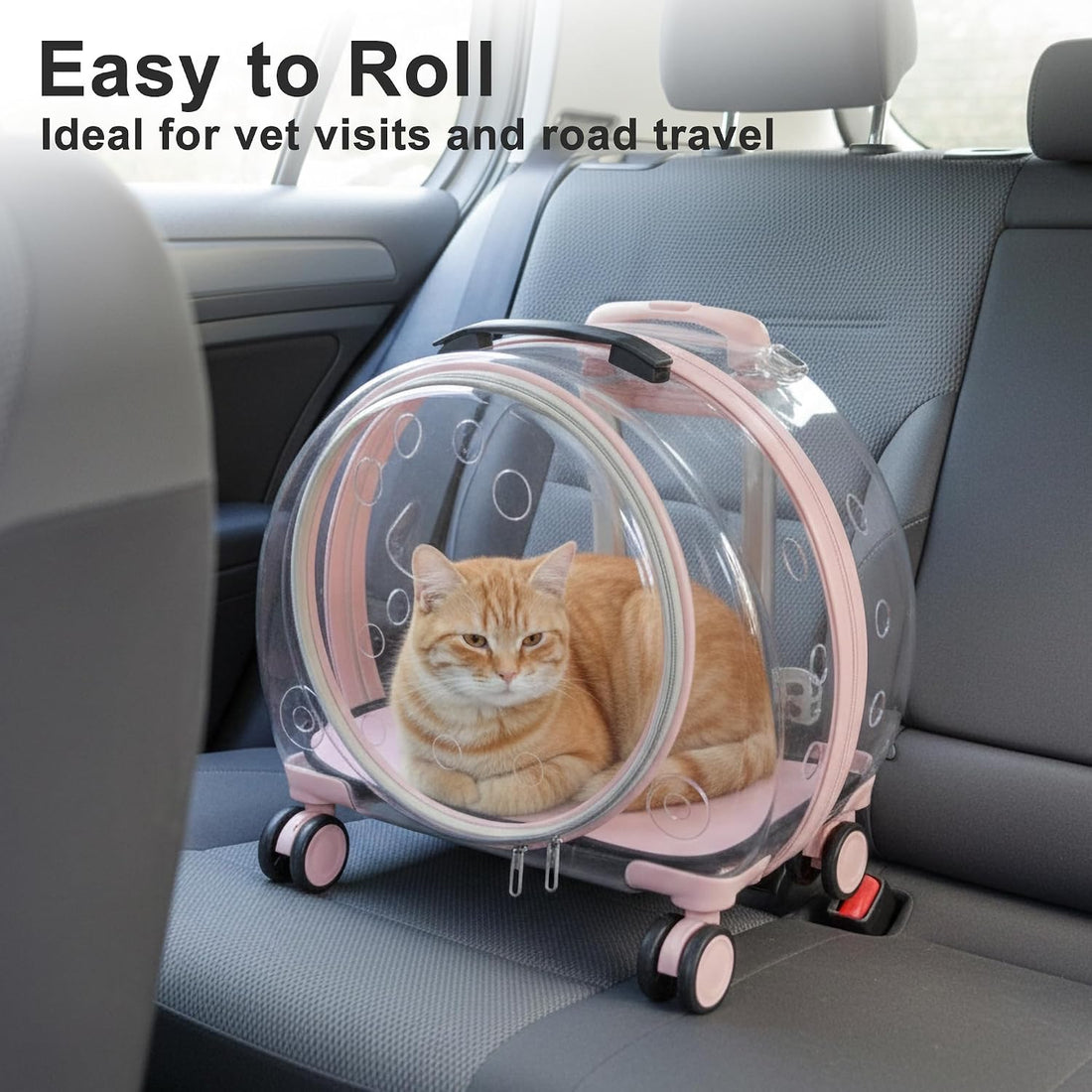 Transparent Hard Shell Cat Carrier with Wheels