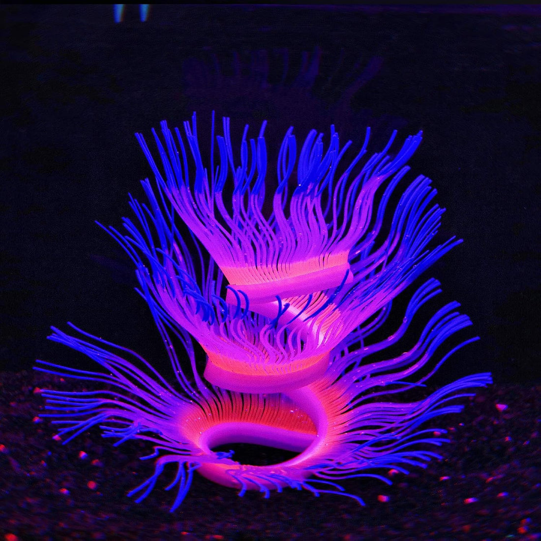 Soft Silicone Glow-in-Dark Anemone with Natural Water Motion