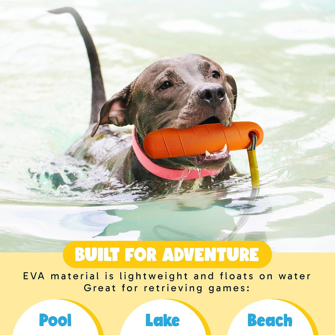 Floating Dog Water Toys - 2 Pack, Bumper Throw Stick for Fetch