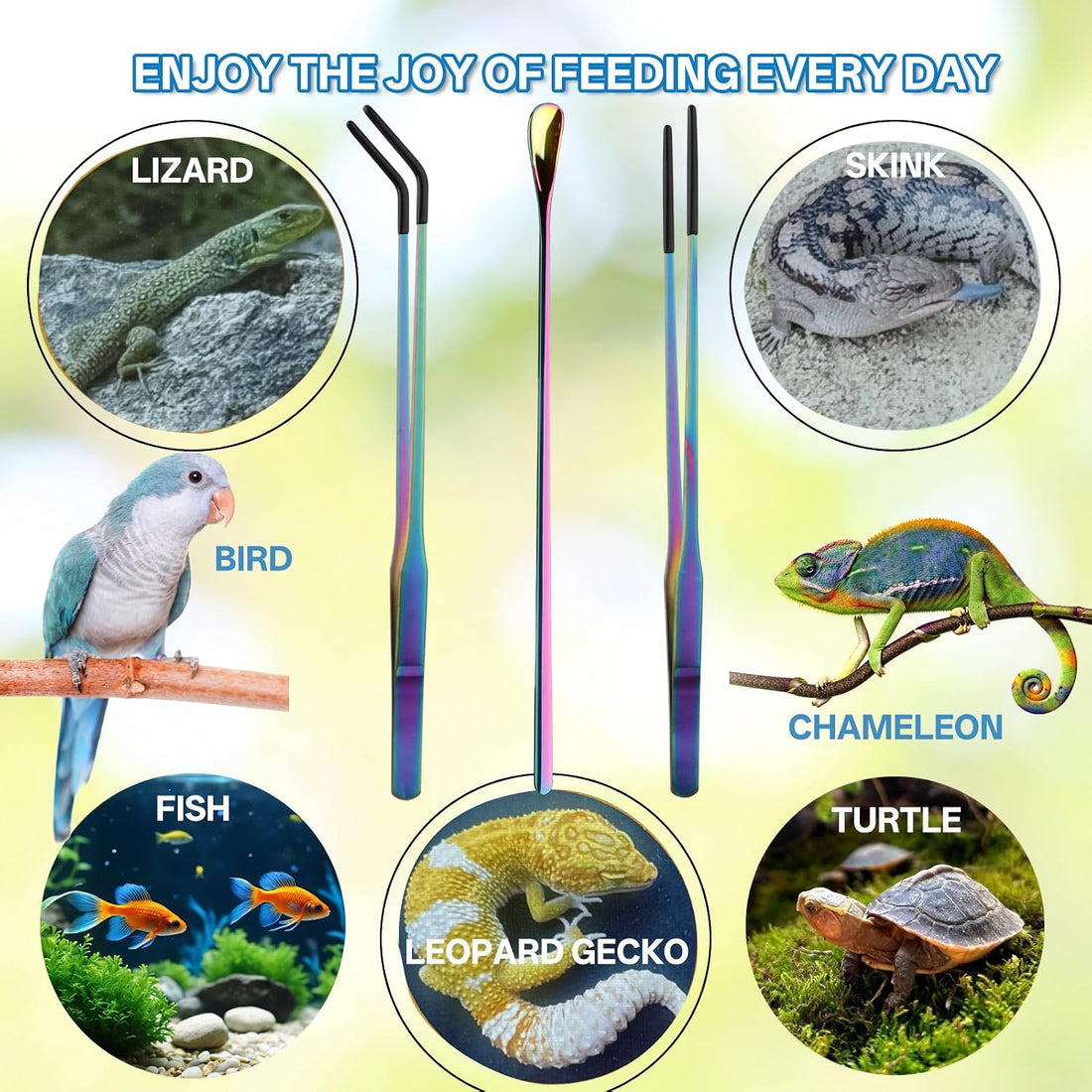 3PCS 10.6" Straight & Curved Reptile Feeding Tongs Set with Spoon