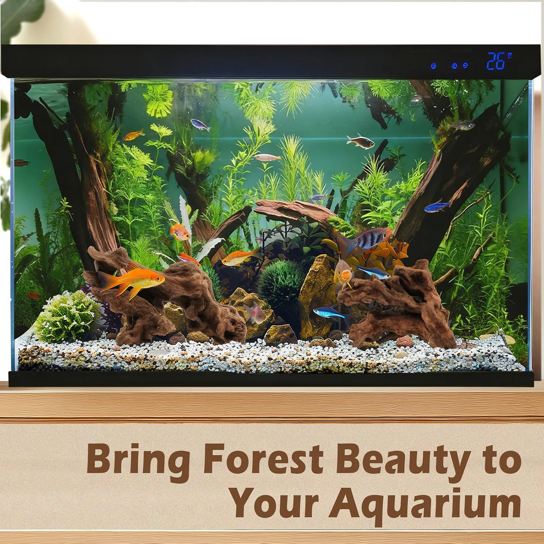6PCS Natural Driftwood 3"–6" Unique Wood for Aquarium & Reptile Tank