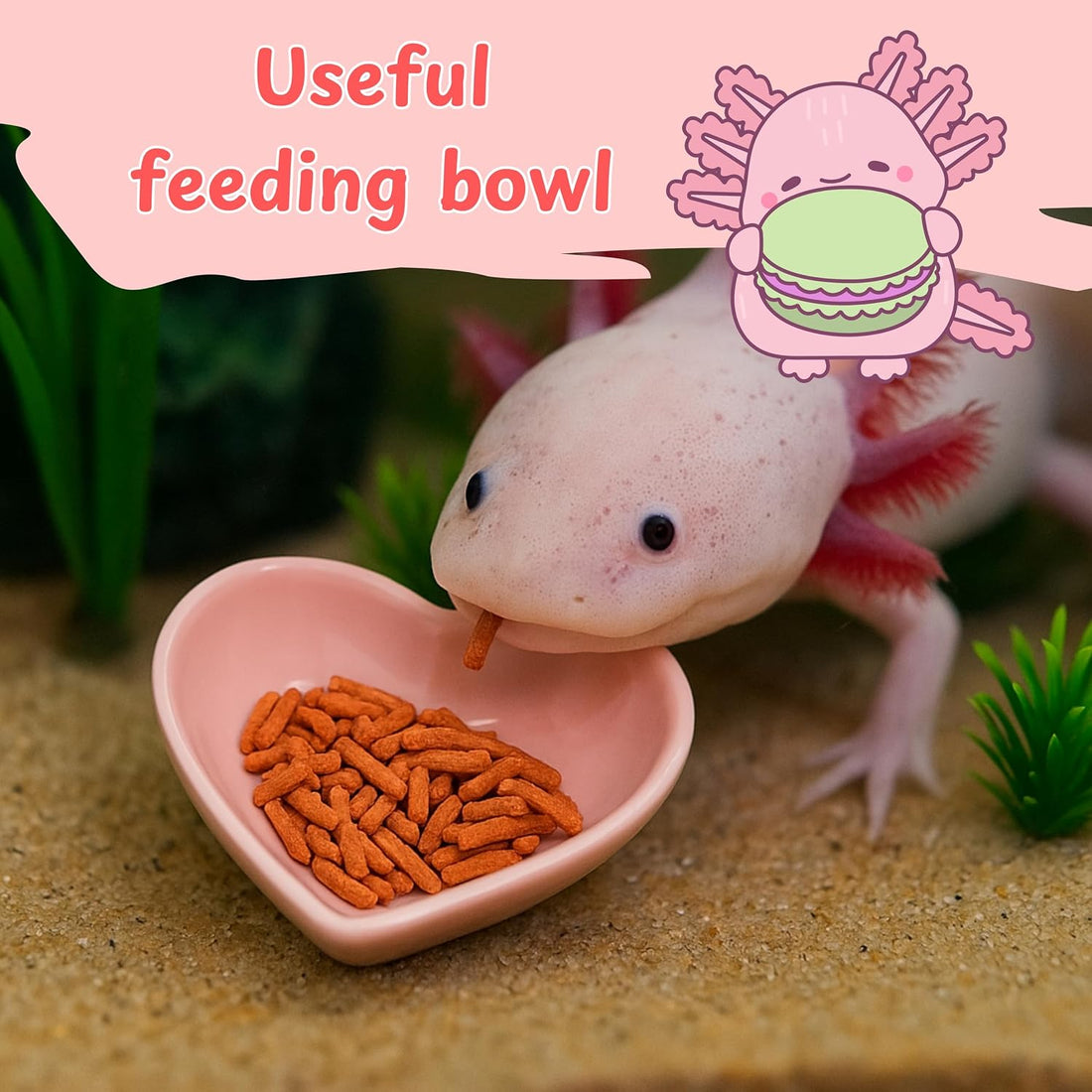 Axolotl Hammock for Aquarium and Ceramic Feeding Dish, Axolotl Hammock