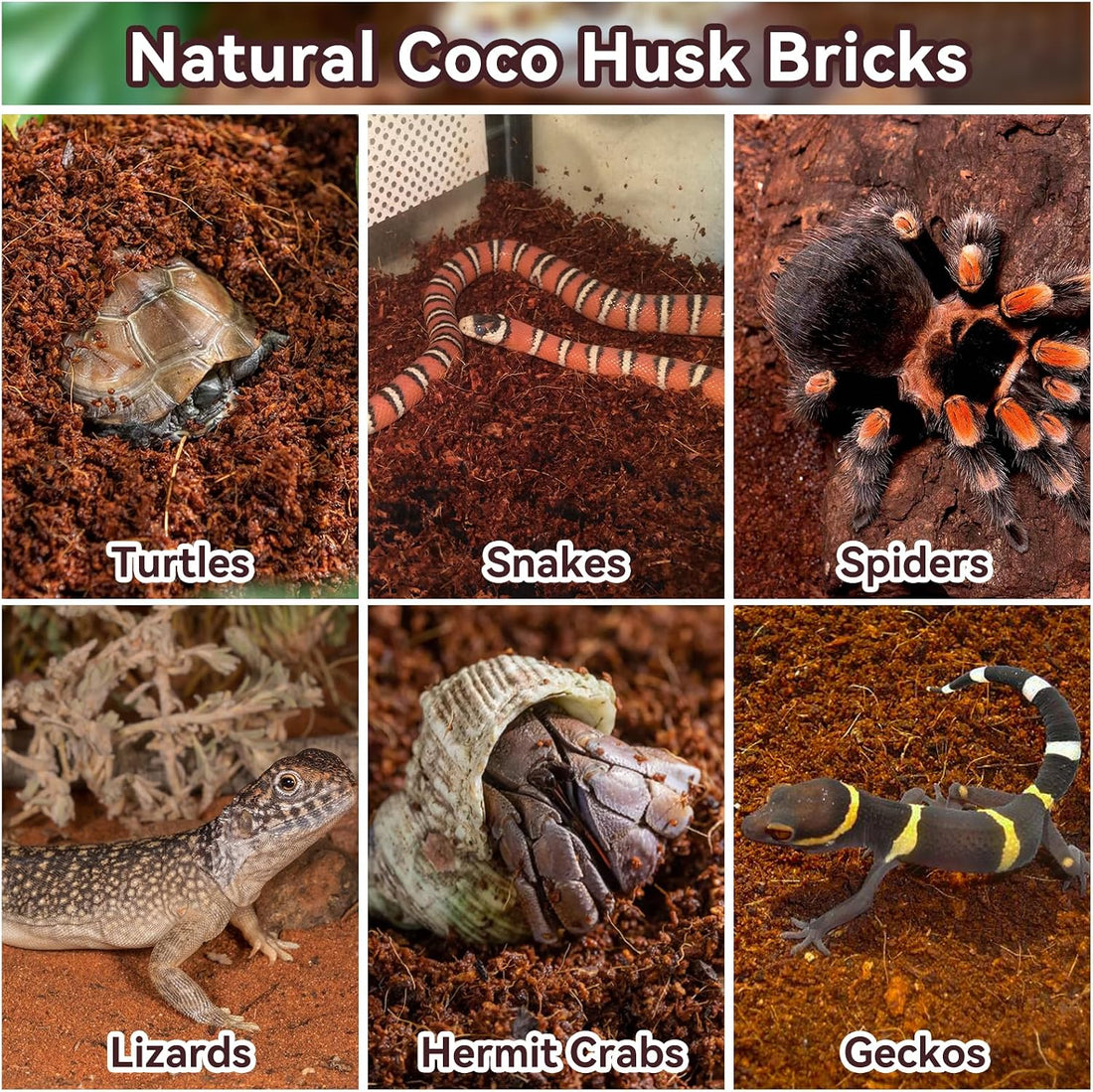 Legigo 4 Pack Coconut Fiber Substrate