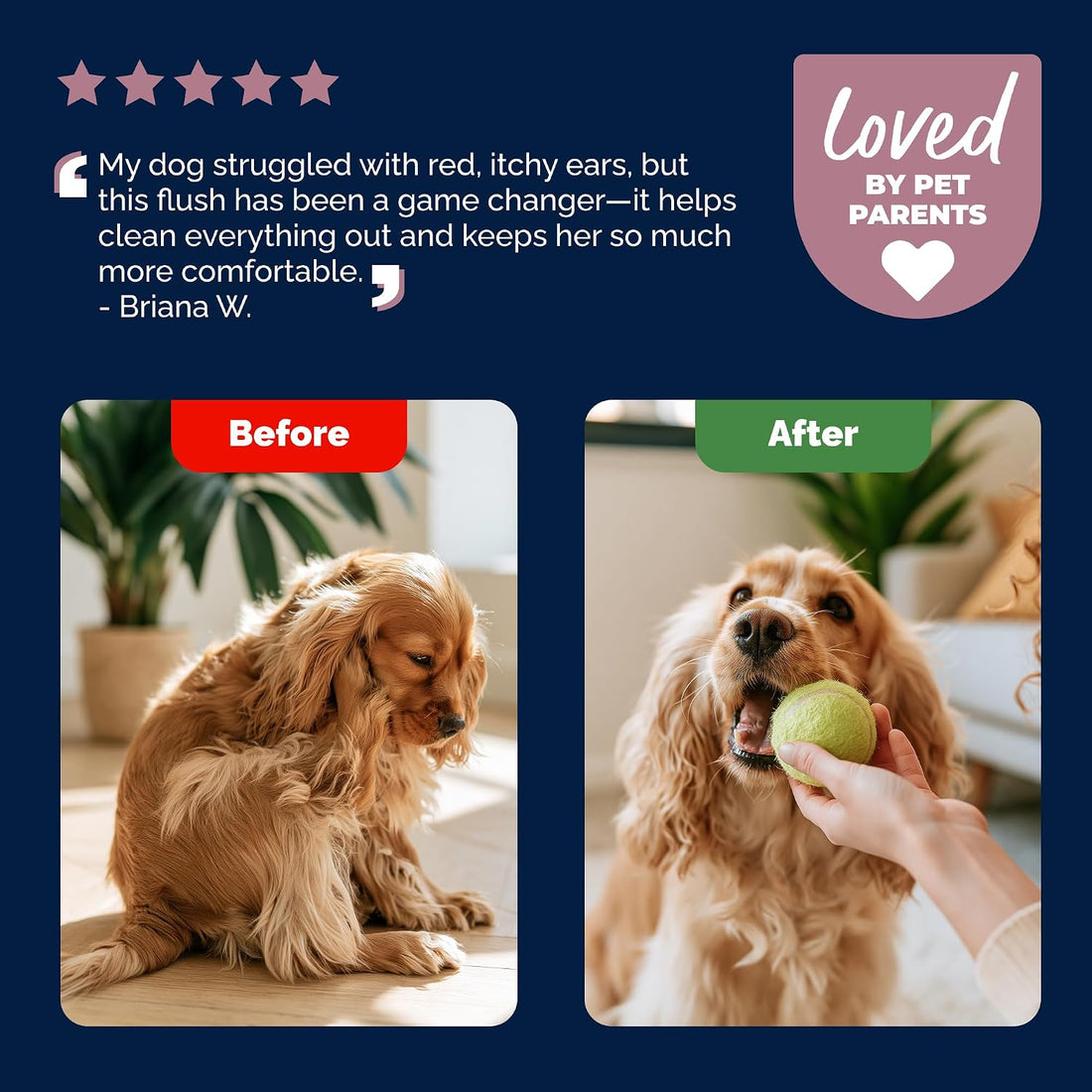 Vetnique Oticbliss Dog Ear Infection Treatment Flush & Ear Cleaner