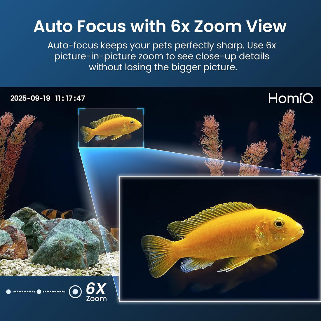 HOMIQ LIFE 3MP 2K Aquarium & Terrarium Pet Camera.Install