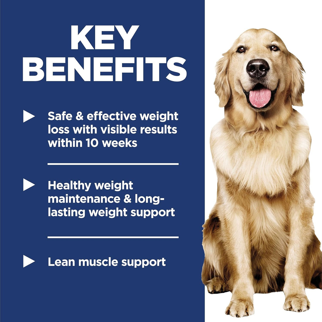 Hill's Science Diet Adult Perfect Weight Wet Dog Food, 24-Pack