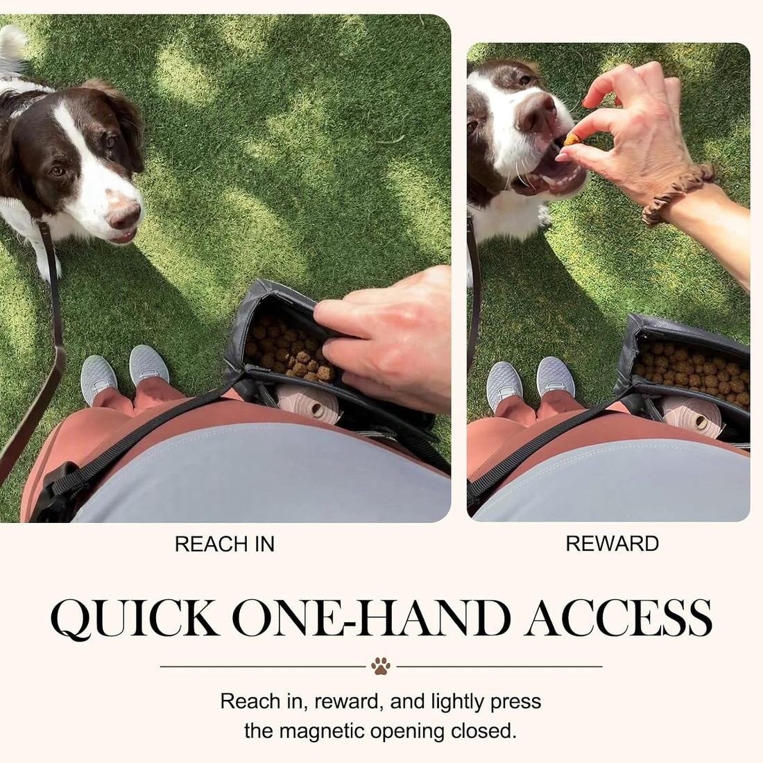 Dog Treat Pouch for Walks & Training, Stylish & Compact Treat Bag