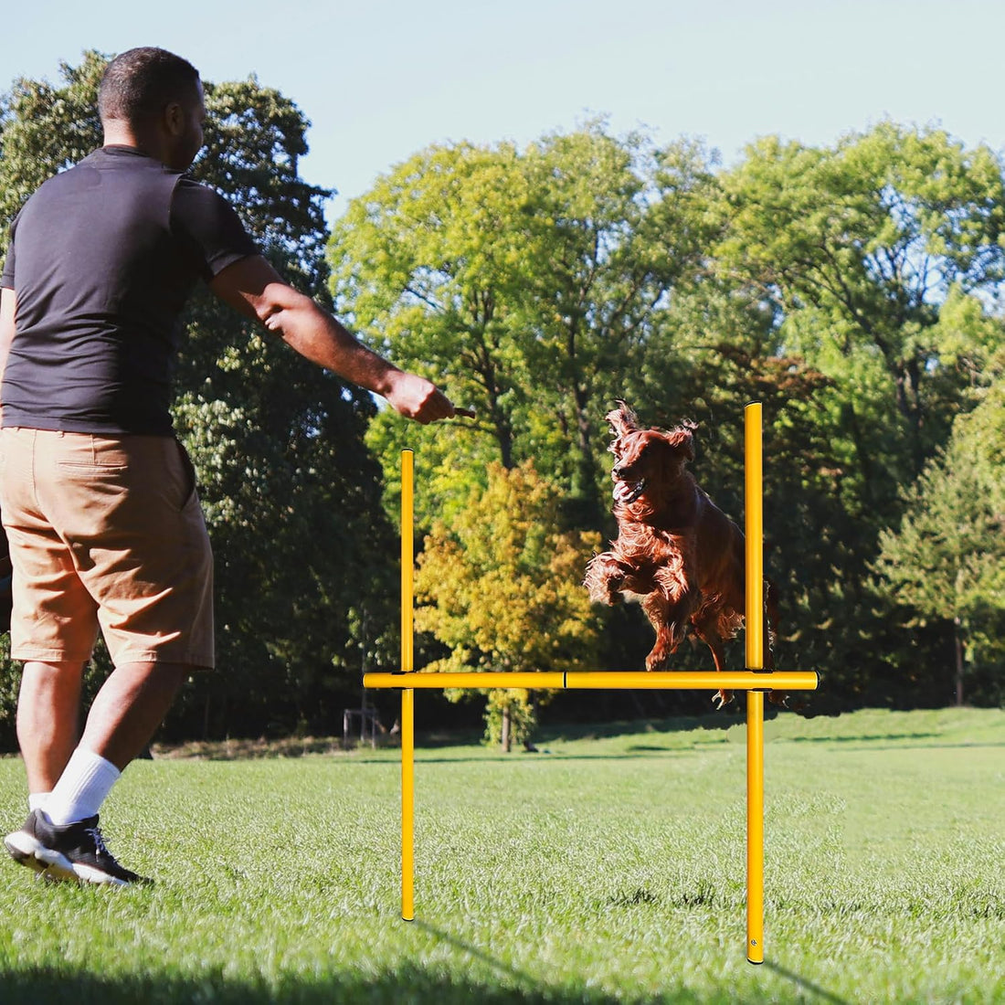 TNZMART 2.6 FT Dog Agility Obstacle Course Backyard Set Wave Poles