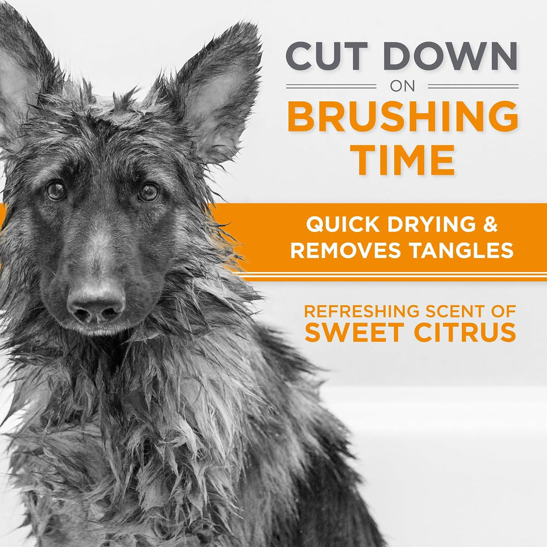 TropiClean Perfect Fur Detangling and Deshedding Dog Shampoo