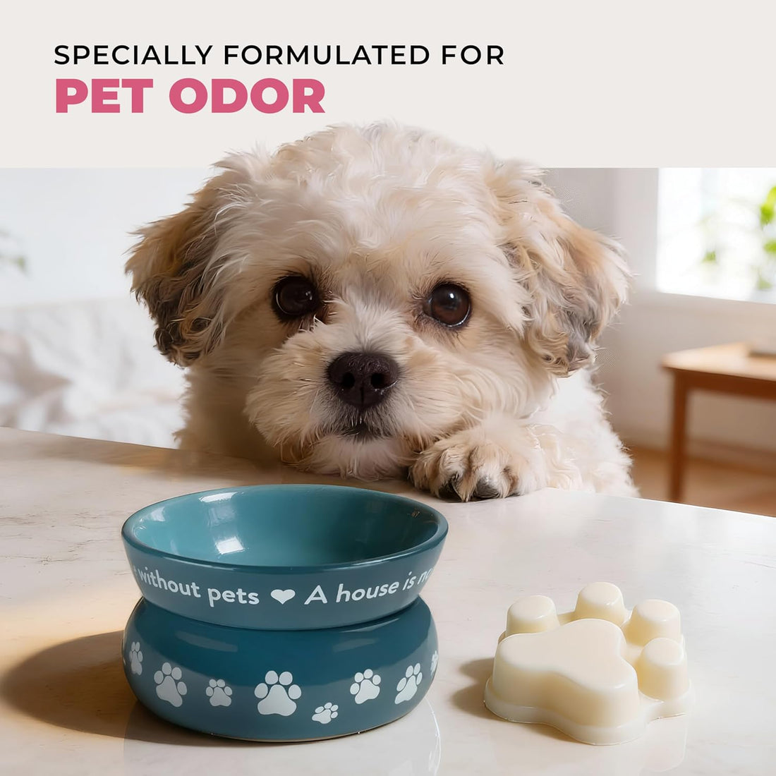 Water Lilies Spring and Summer Wax Melts Plant-Based Wax, Pet House