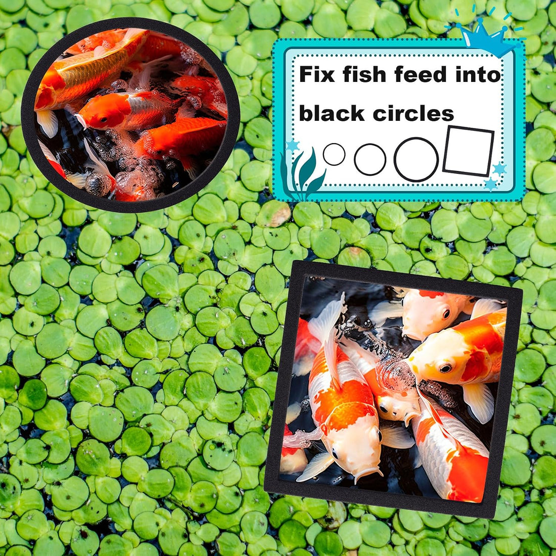 OIIKI 10 PCS Fish Feeding Rings Sets, Floating Aquarium Plant Corral