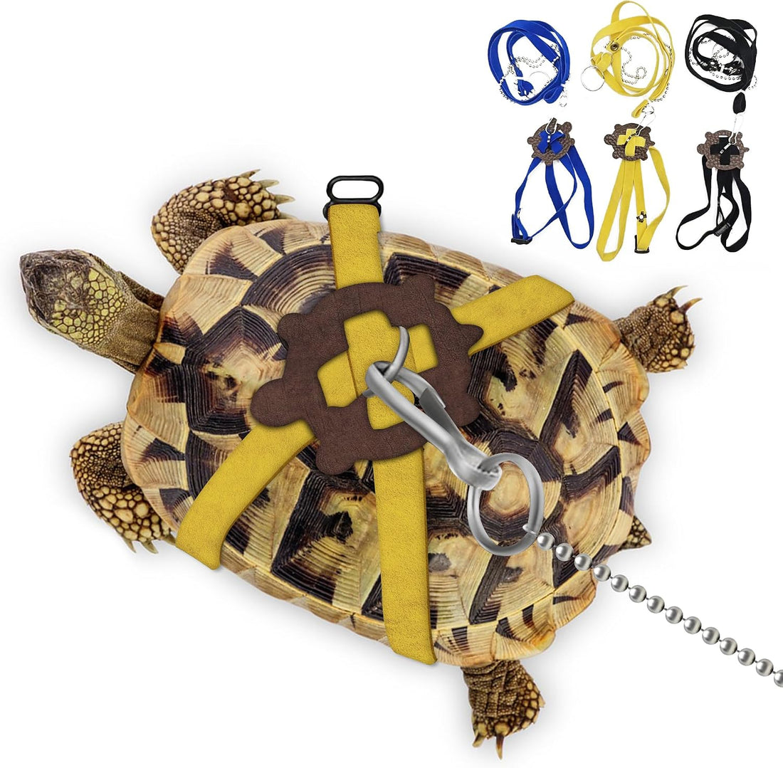 Pet Tortoise Leather Harness & Leash - Small Tortoise Supplies