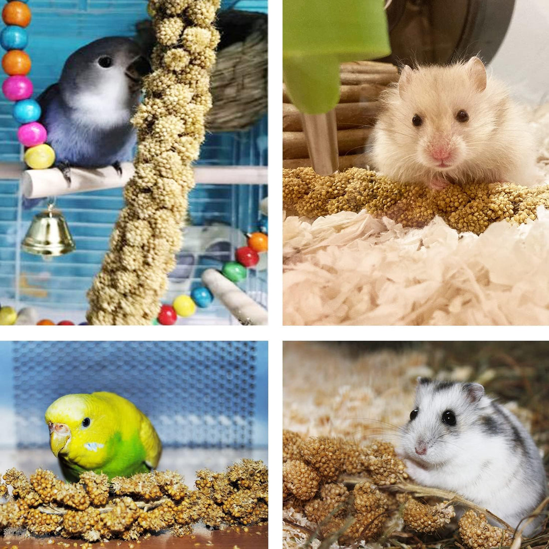 Jmxu's Spray Millet Treat for Birds Parakeets