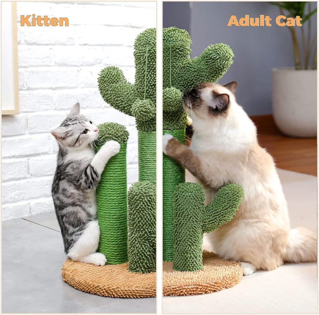 PAWZ Road Cat Scratching Post Cactus Cat Scratcher Featuring with 3