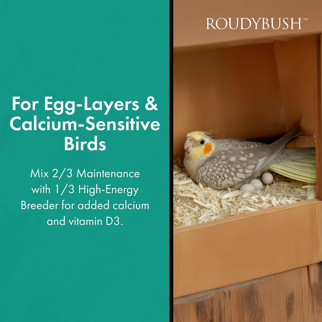 RoudyBush California Blend Bird Food