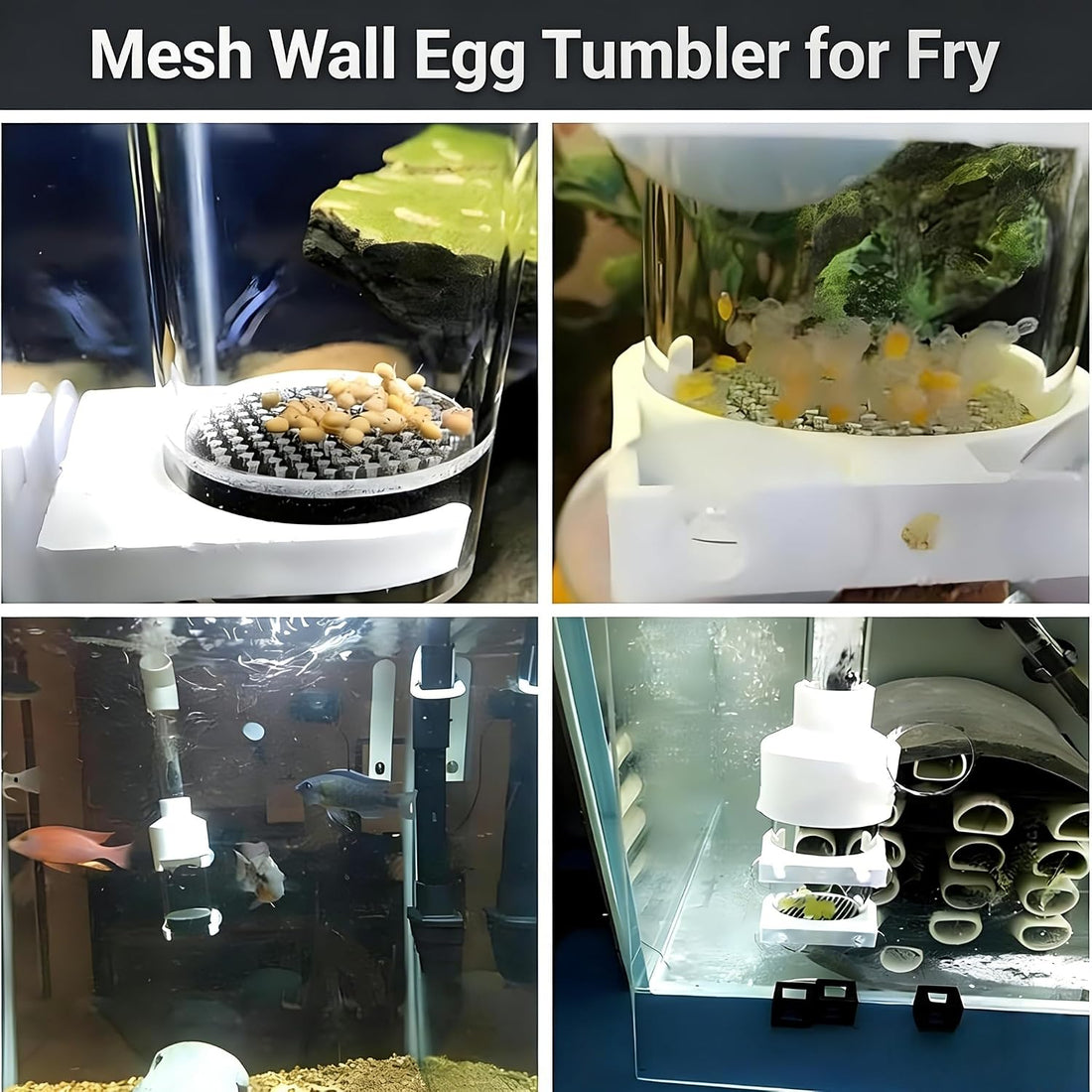 Egg Incubator Tumbler, 50mm Fish Hatchery for Cichlid Breeding