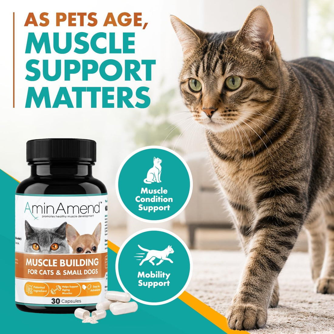 Small Dog & Cat CaHMB Muscle Support Capsules, Vitamin D3, 30 Ct