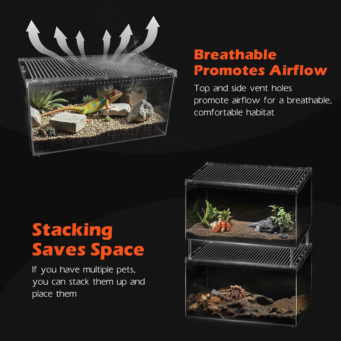 AZV Escape-Proof Tarantula Enclosure,2.37 Gallon Clear PC Reptile