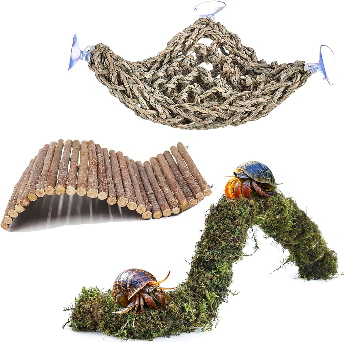 HERCCOCCI Hermit Crab Accessories