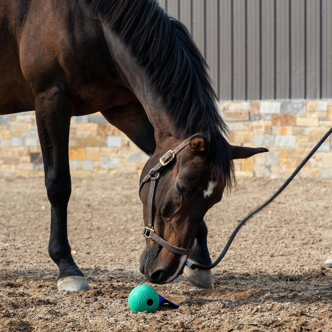 KoreFlex Ball & Tail - Durable Horse Toy & Equine Enrichment Ball