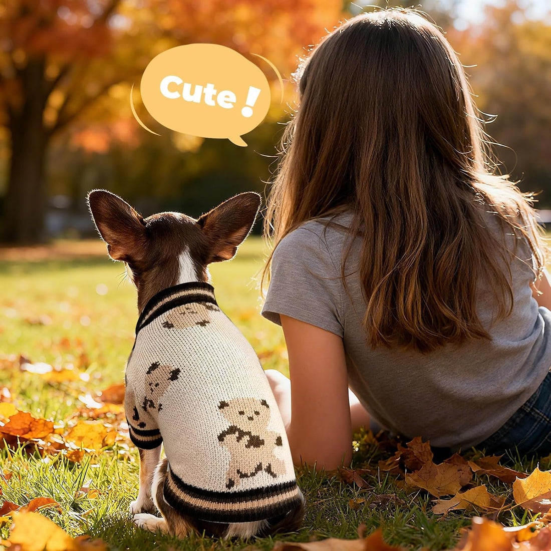 PETCARE Small Dog Sweater Cute Bear Dog Cardigan Coat Clothes