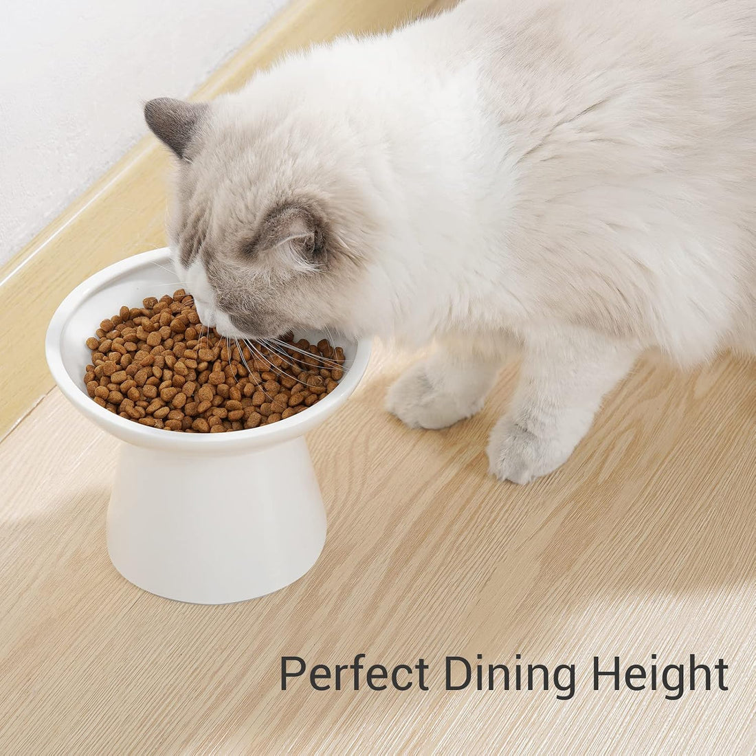 CEEFU Extra Wide Elevated Ceramic Cat Bowl