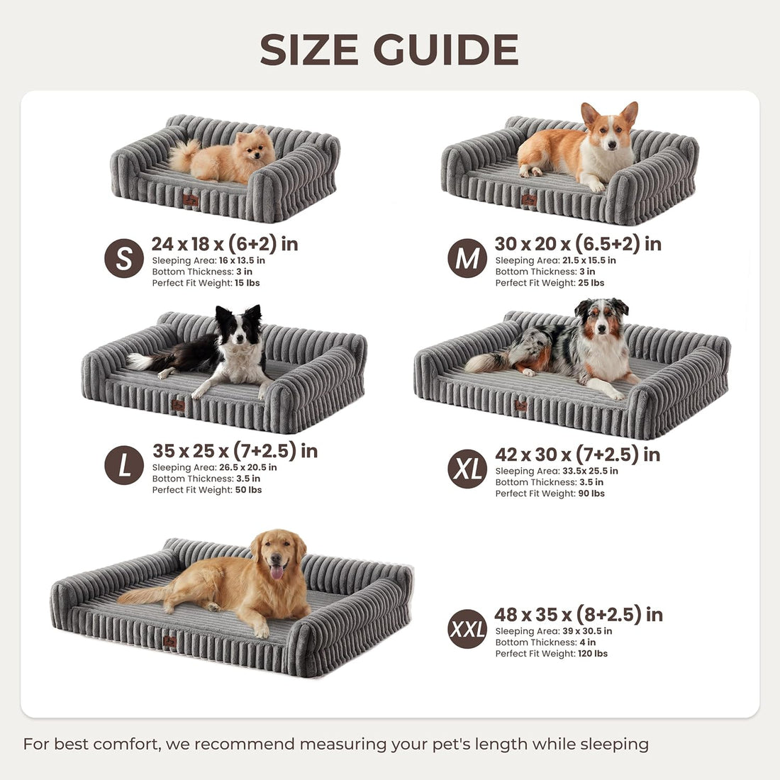 Orthopedic Dog Bed Large 35x25x9.5” Washable Cover