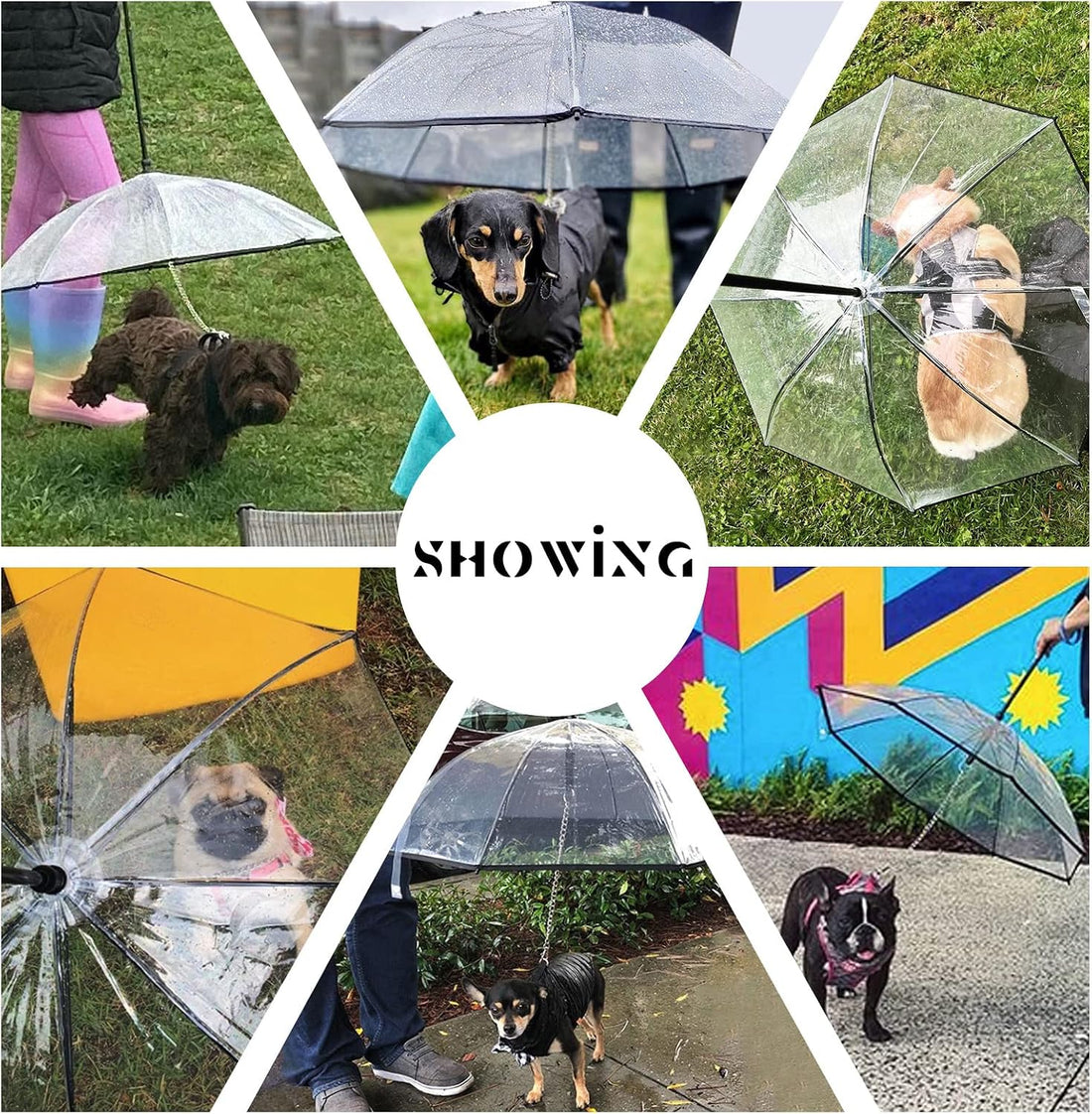 Clear Dog Umbrella for Small Dogs, Doggie Umbrella with Leash