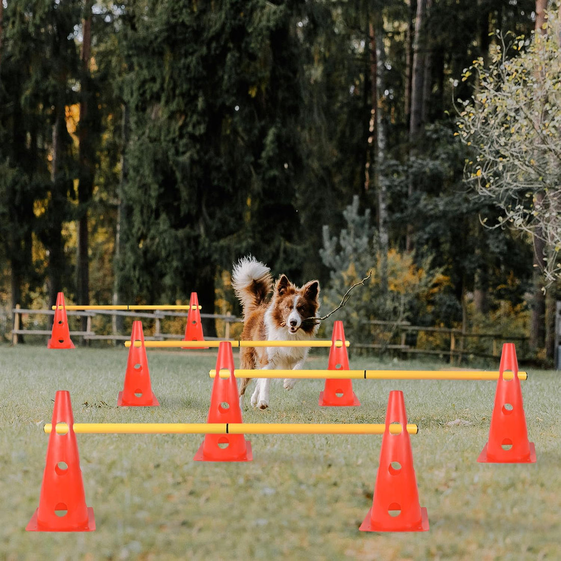 TNZMART Dog Agility Hurdle Cones Pet Jump Training Set Dog Agility