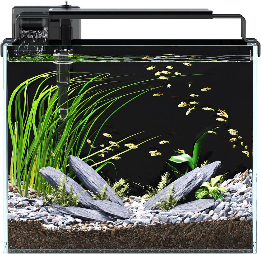5 Gallon Fish Tank Aquarium Starter Kit with Filter Light Lid Rimless