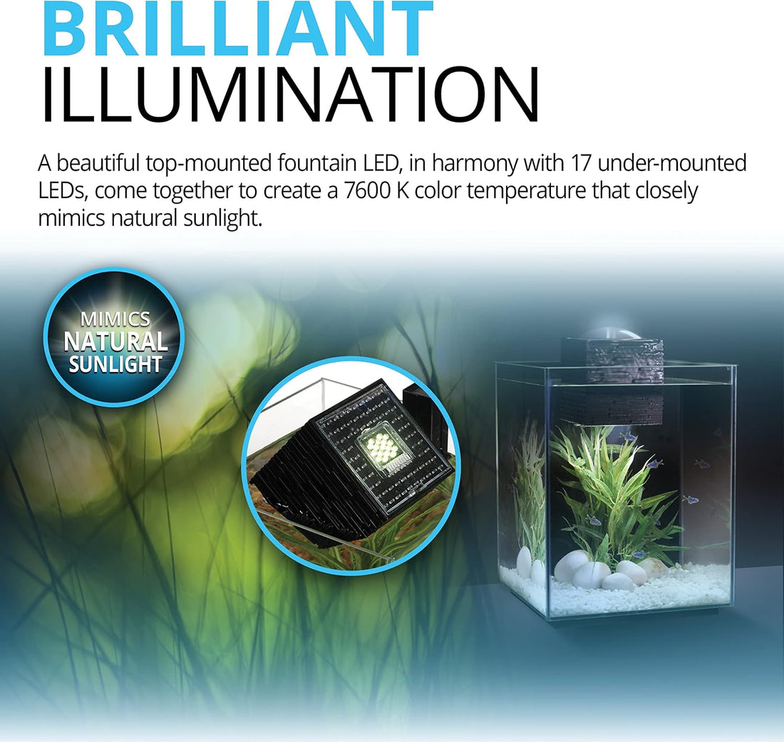 Fluval Chi II Series Aquarium Set, 5-Gallon