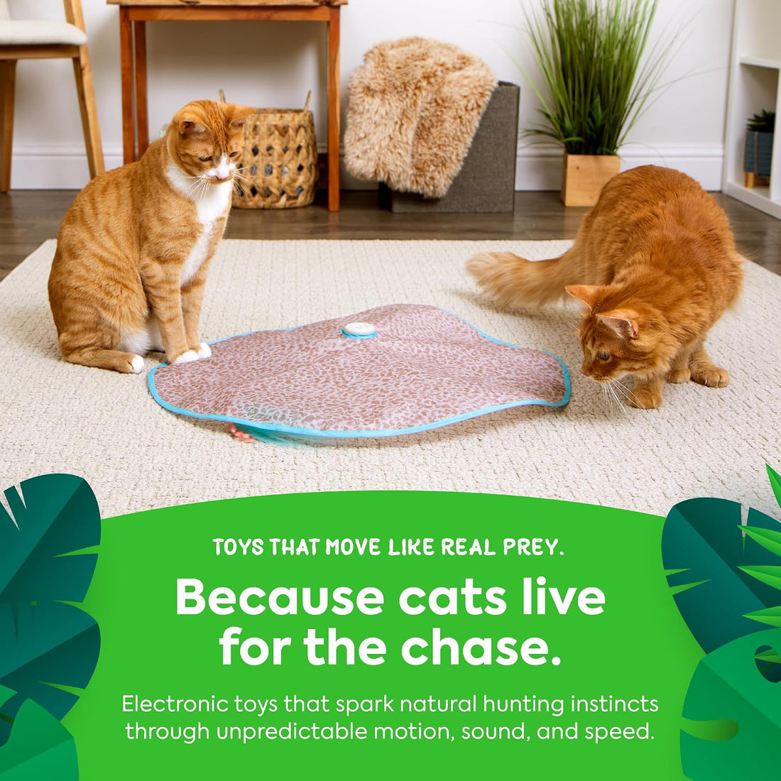 SmartyKat Hidden Hijinks Toy for Indoor Cats & Kittens