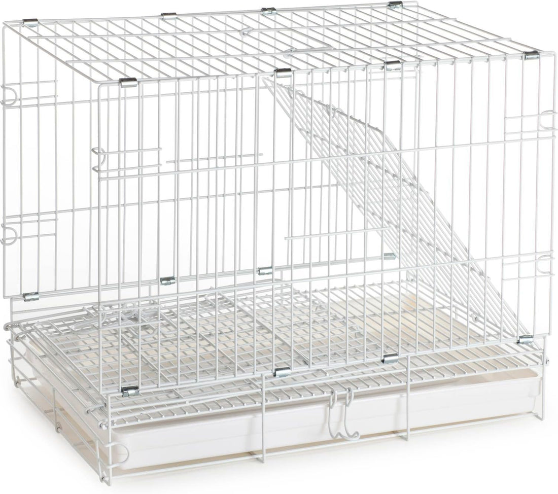 Large Easy Portable Durable Metal Travel/Veterinary Parrot Bird