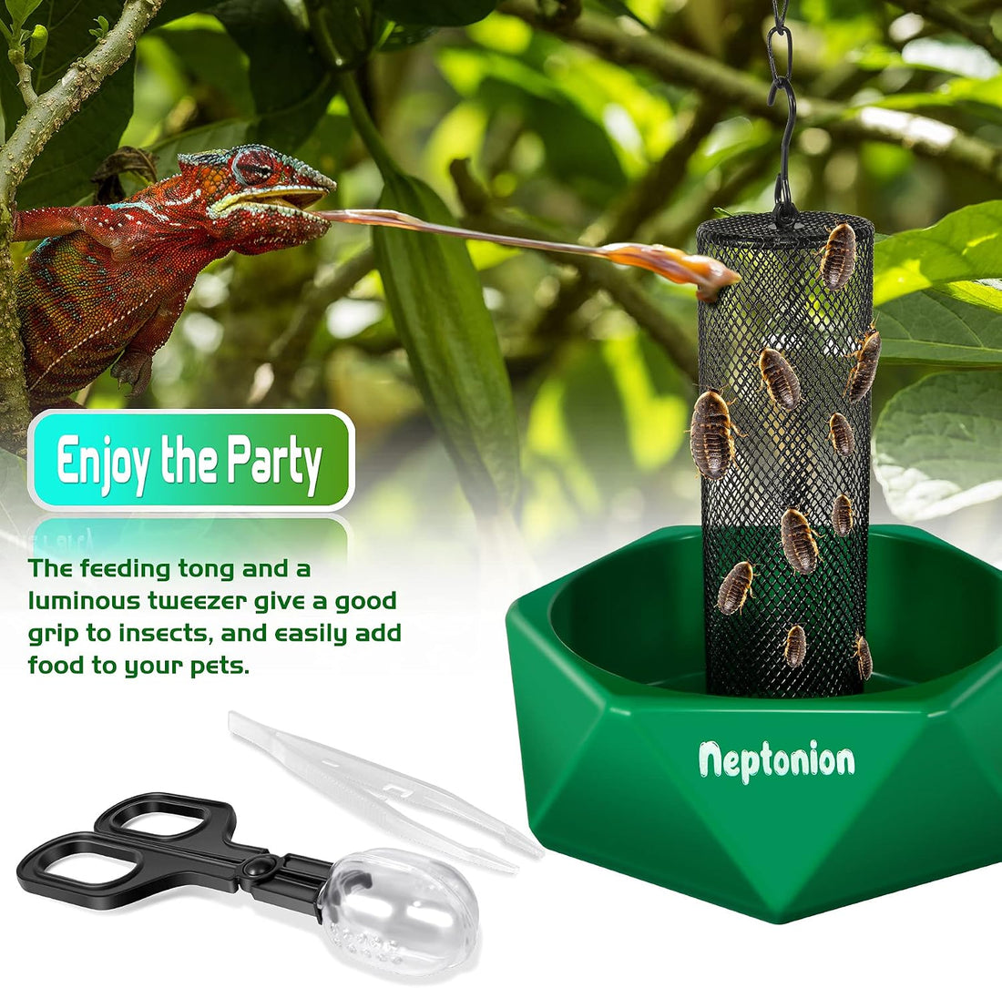 Hookable Chameleon Feeding Bowl