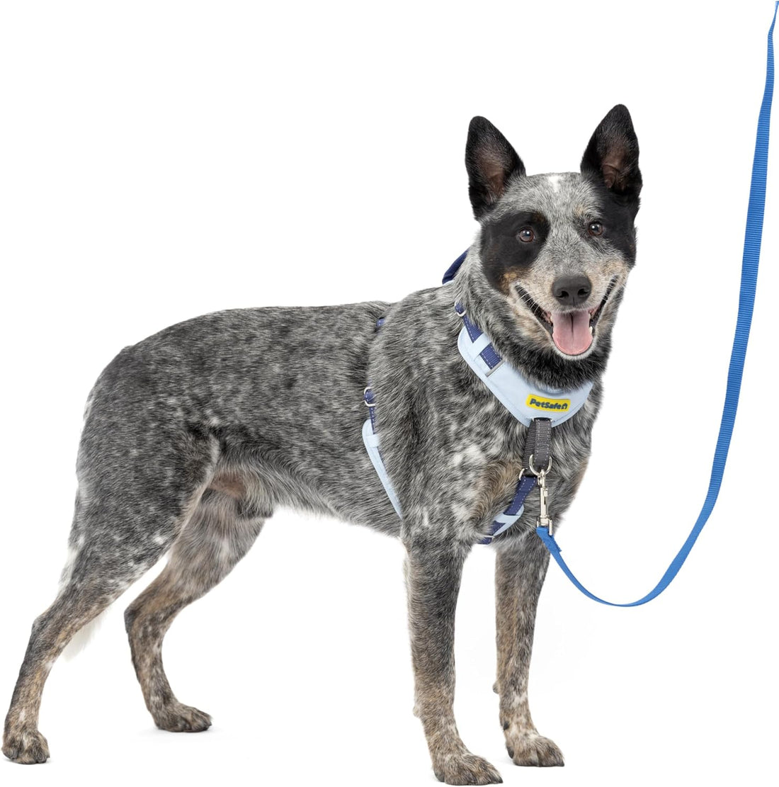 PetSafe Easy Walk Comfort No-Pull Dog Harness Full-Body Padding
