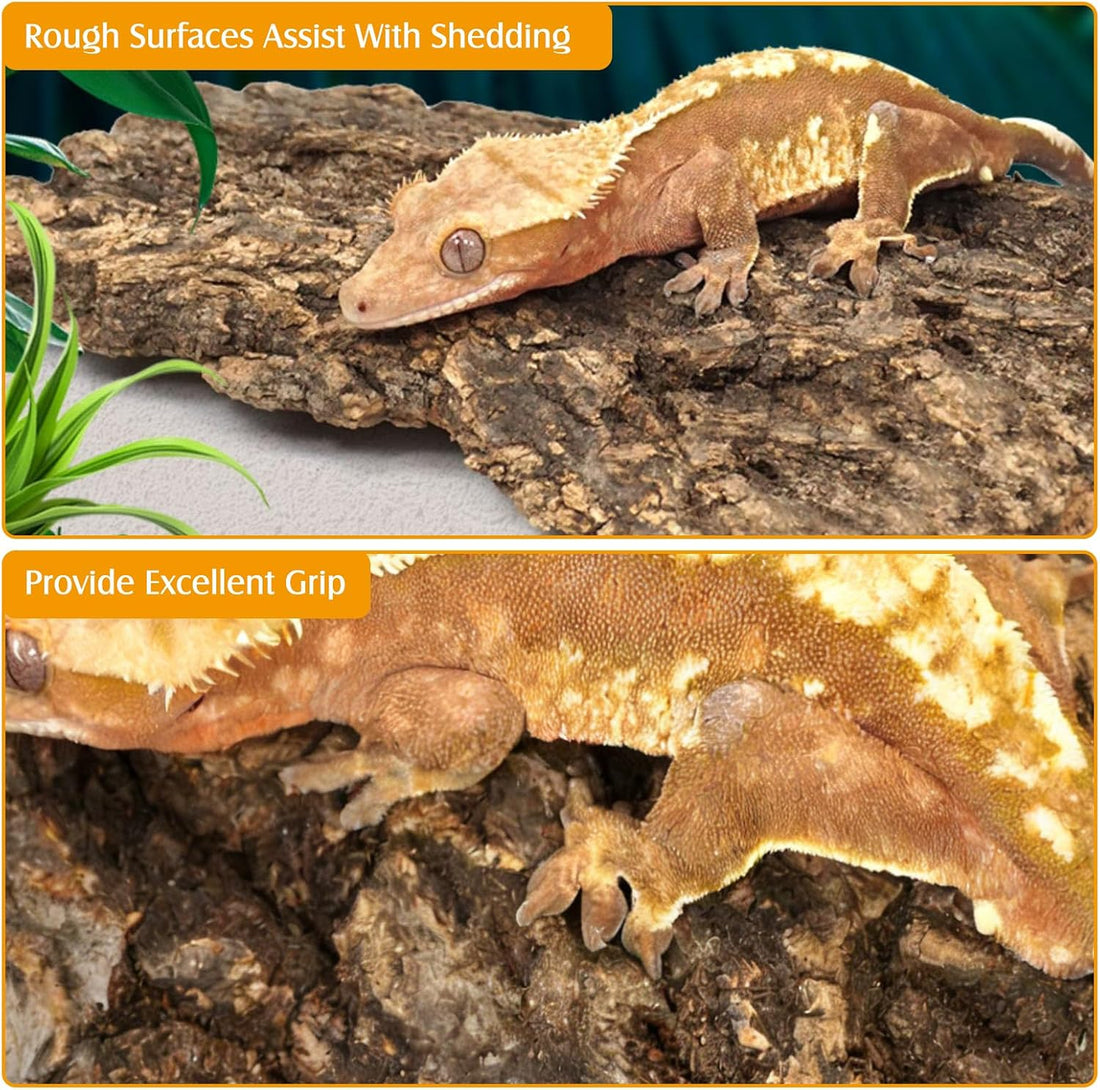 Reptile Cork Bark Bedding 6PCS Bearded Dragon Climbing Wall Mat