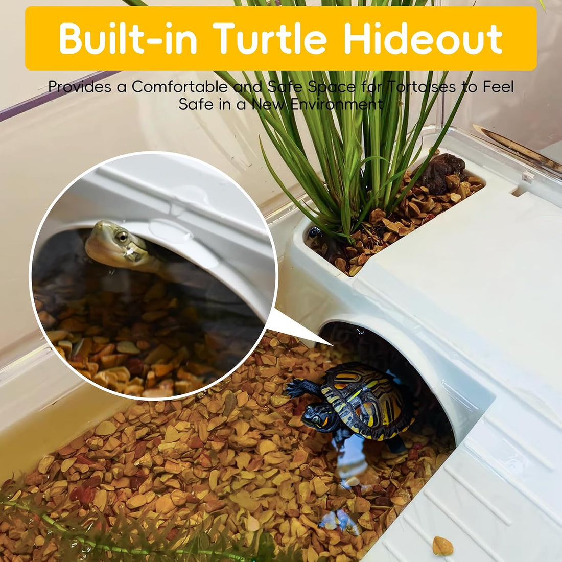 Turtle Tank Starter Kit for Baby Turtle,6.57 Gallon Aquarium Medium