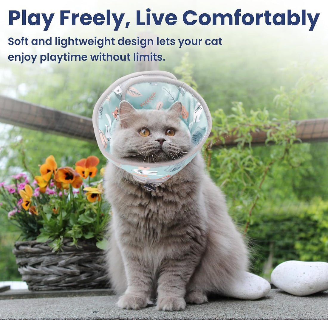 PawsPik Adjustable Soft Recovery Cone for Dogs & Cats, Small
