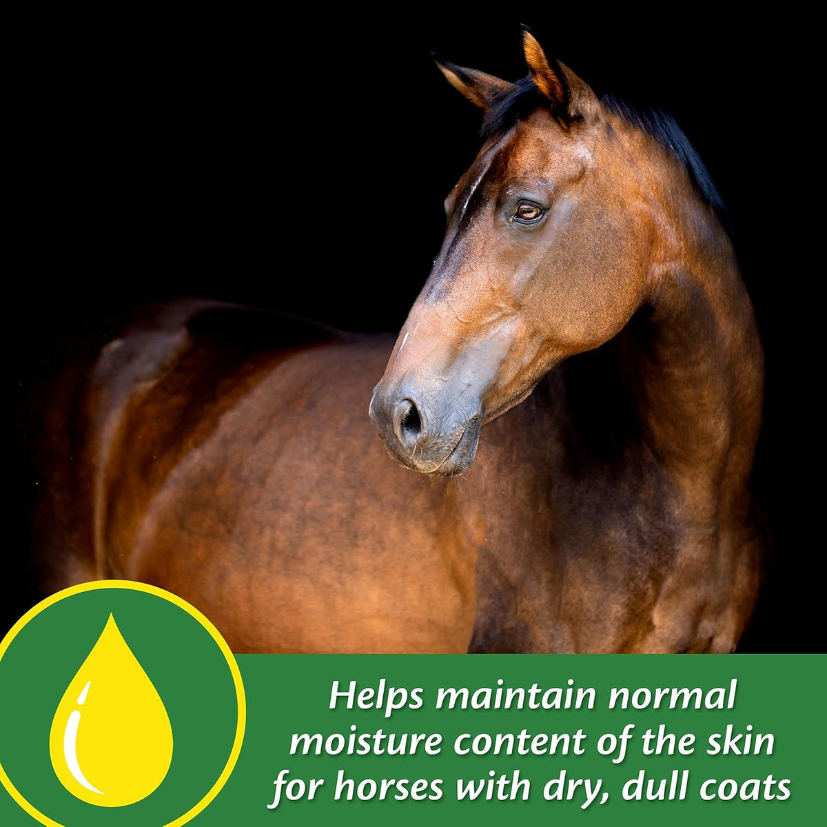 Farnam Super 14 Healthy Skin & Coat Supplement for Horses